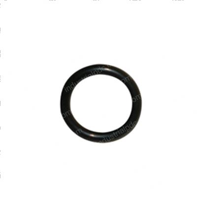 Picture of O-Ring