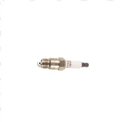 Picture of Plug - Spark
