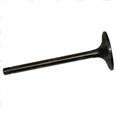 Picture of Valve - Intake