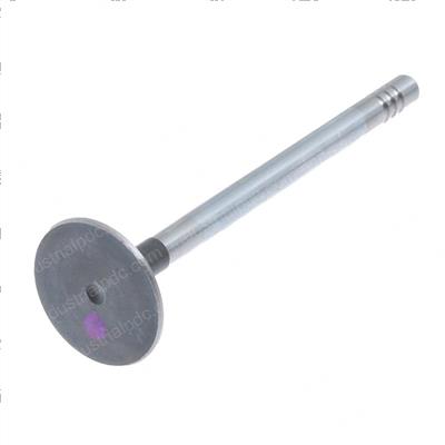 Picture of Valve- Intake