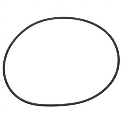 Picture of O-Ring