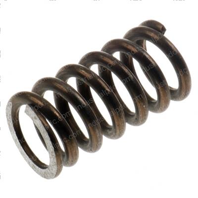 Picture of Spring - Diaphragm