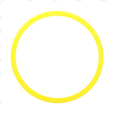 Picture of Ring, Back-Up