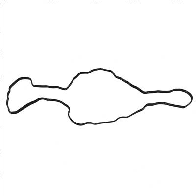 Picture of Gasket