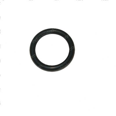 Picture of O-Ring