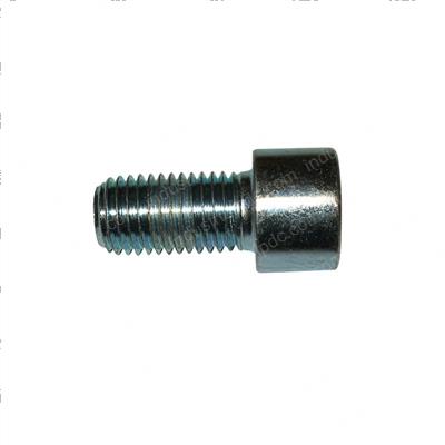 Picture of Bolt
