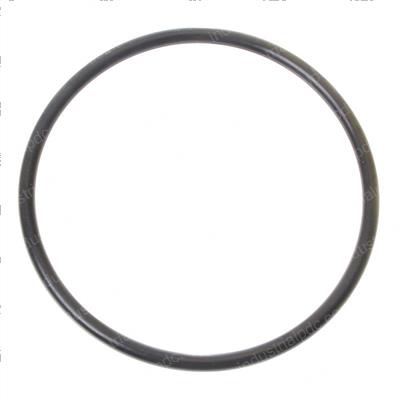 Picture of O-Ring