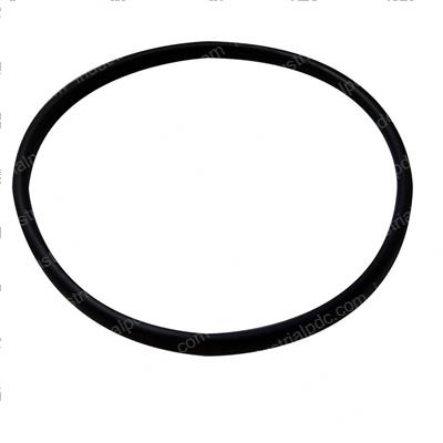 Picture of O-Ring