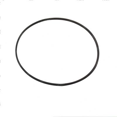 Picture of O-Ring