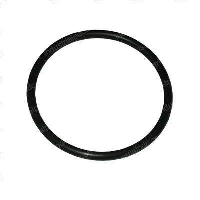 Picture of O-Ring