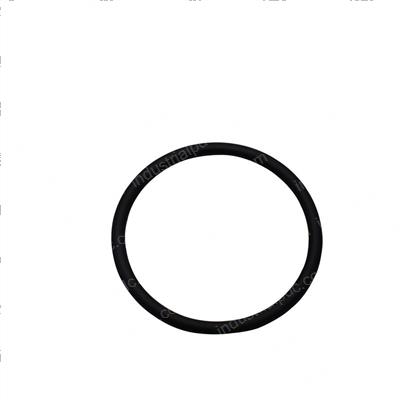 Picture of O-Ring