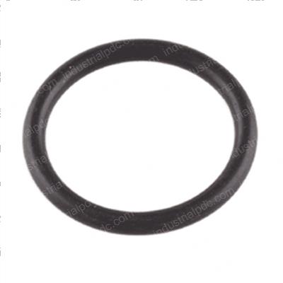 Picture of O-Ring