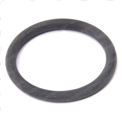 Picture of O-Ring
