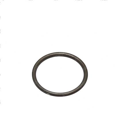 Picture of O-Ring