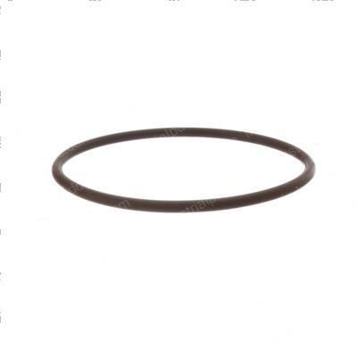 Picture of O-Ring