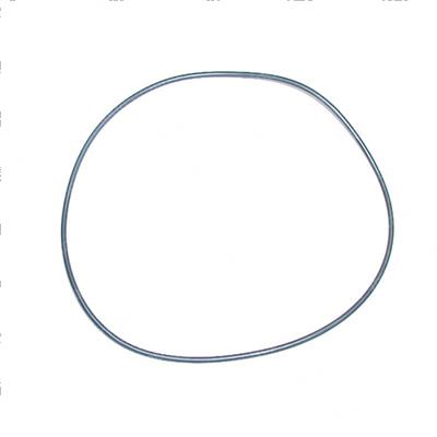 Picture of O-Ring