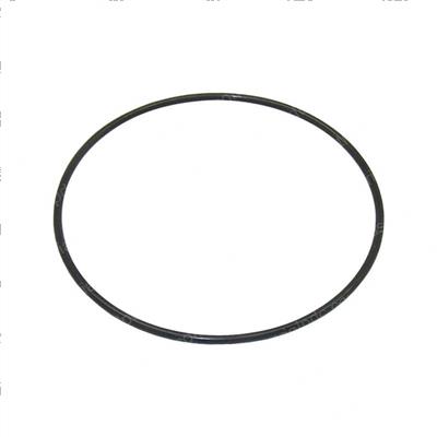 Picture of O-Ring