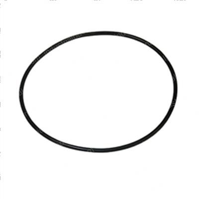 Picture of O-Ring