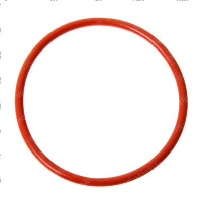 Picture of O-Ring