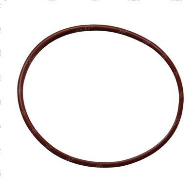 Picture of O-Ring