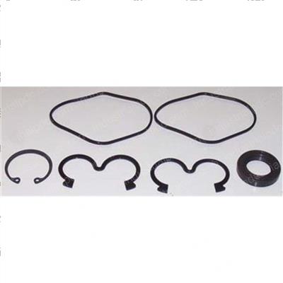 Picture of Seal Kit - Hydraulic Pump