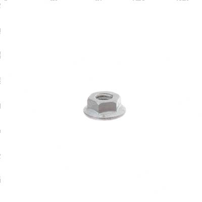Picture of Nut