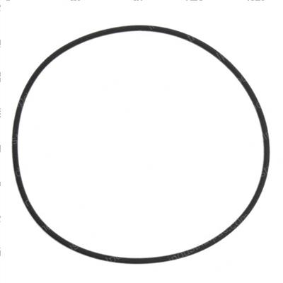 Picture of O-Ring