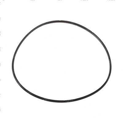 Picture of O-Ring