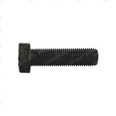 Picture of Bolt - Special