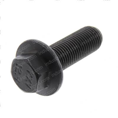 Picture of Screw Hex