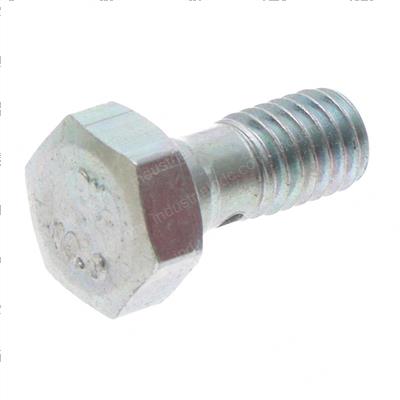 Picture of Bolt