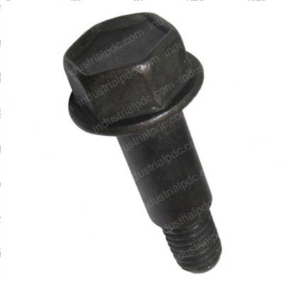Picture of Bolt