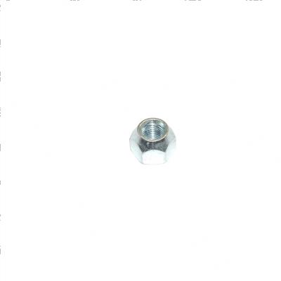 Picture of Nut