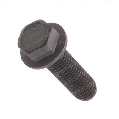 Picture of Bolt