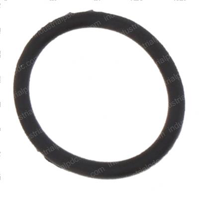 Picture of O-Ring