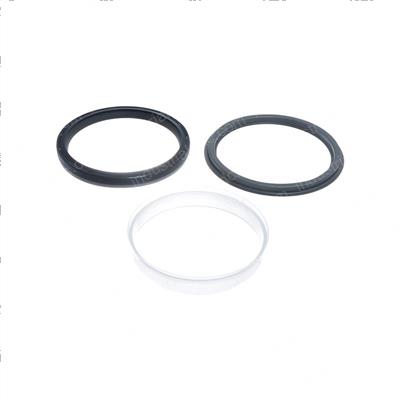 Picture of Seal - Oil