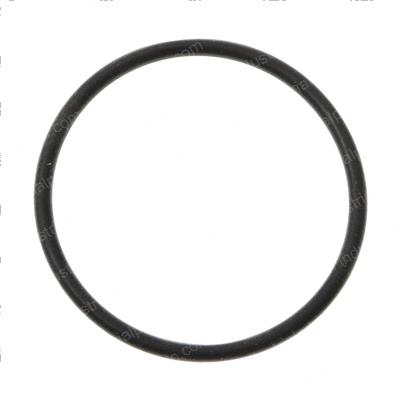 Picture of O_Ring