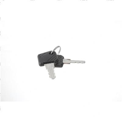 Picture of Key Assembly - 2 Keys