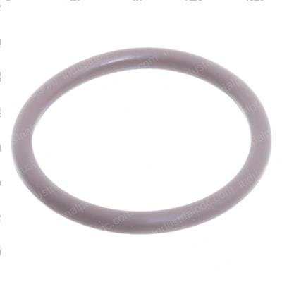 Picture of O-Ring