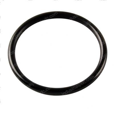Picture of O-Ring
