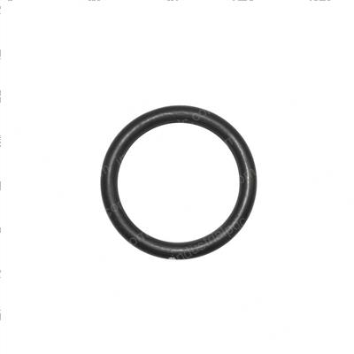 Picture of O-Ring