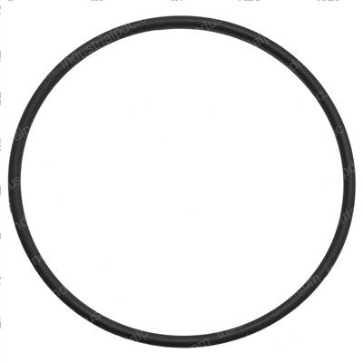 Picture of O-Ring