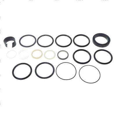Picture of Seal Kit - Hydraulic Cylinder