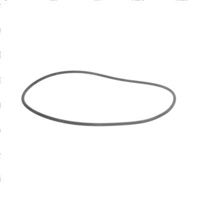 Picture of O-Ring
