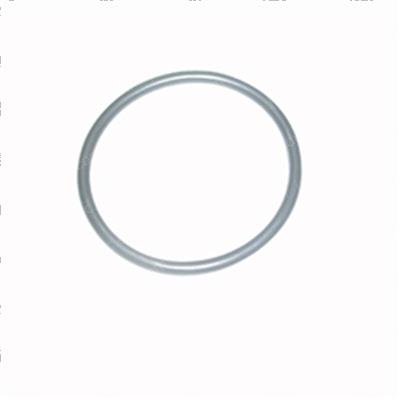 Picture of O-Ring