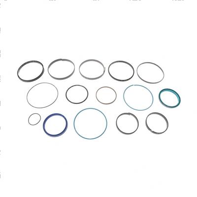 Picture of Seal Kit - Without Gland