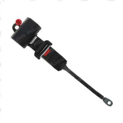 Picture of Safety Belt