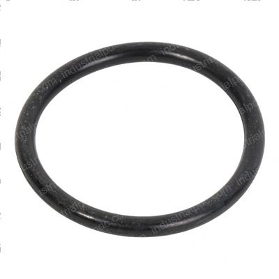 Picture of O-Ring