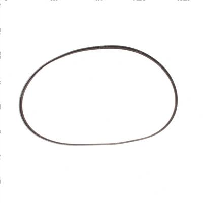 Picture of Belt - Serpentine