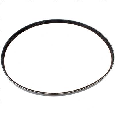 Picture of Belt - Serpentine